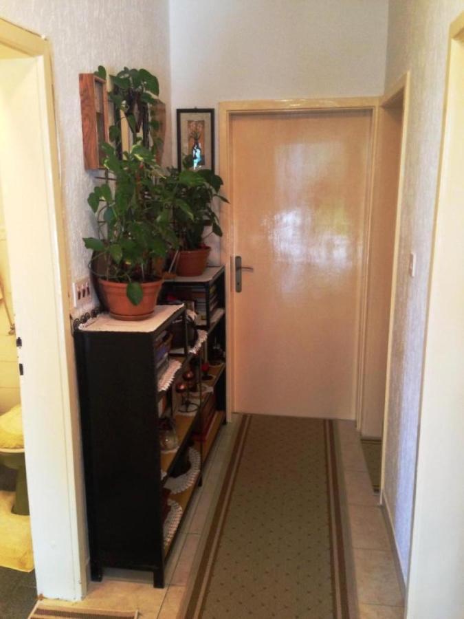 Guest House Ruza Dubrovnik Exterior photo